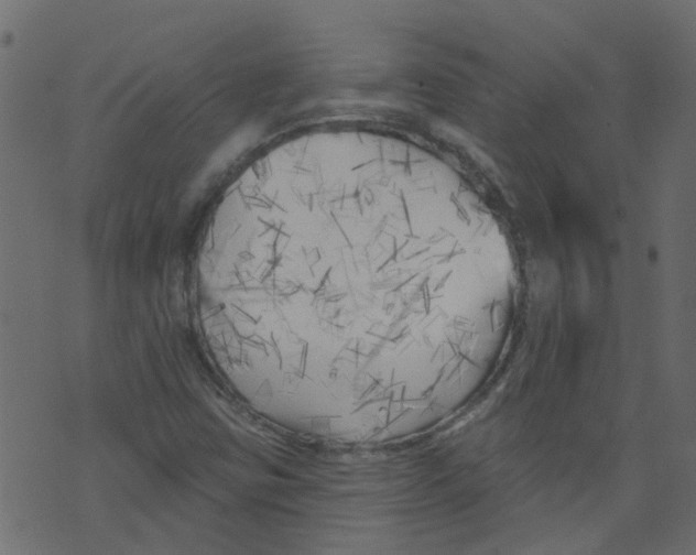 X0000073461403200608251720