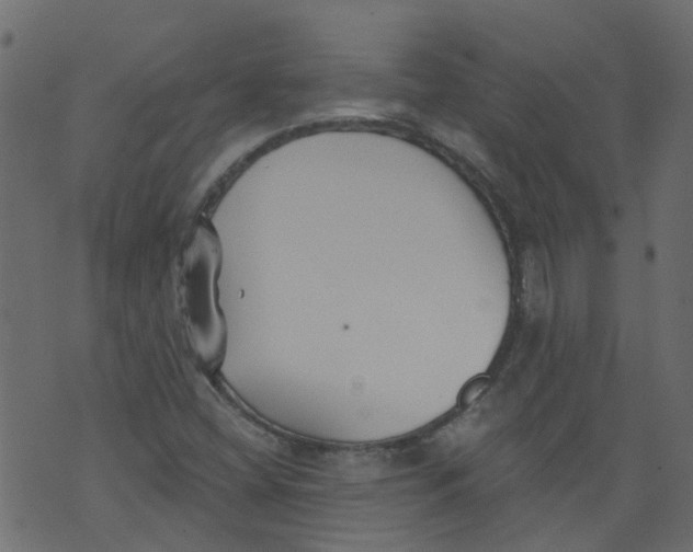 X0000073461404200608251720