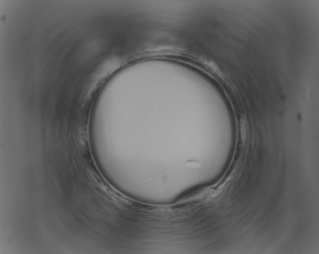 X0000073461405200608251720