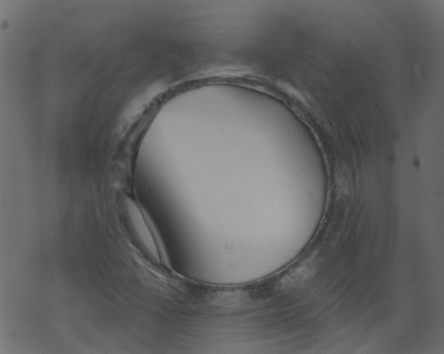 X0000073461406200608251720