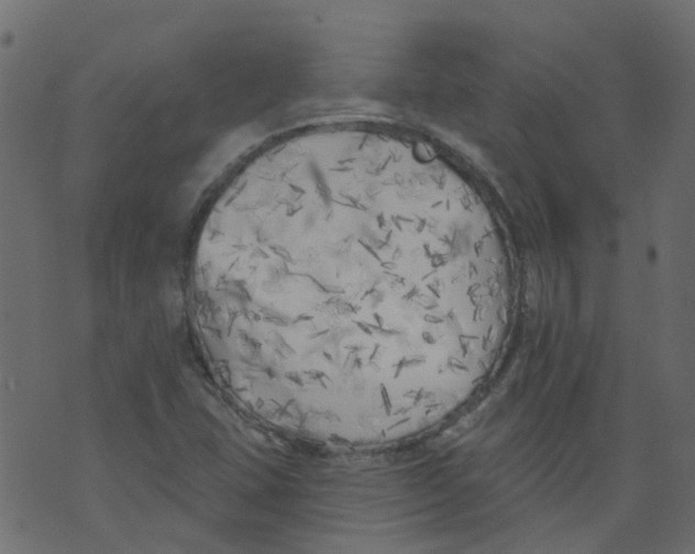 X0000073461407200608251720