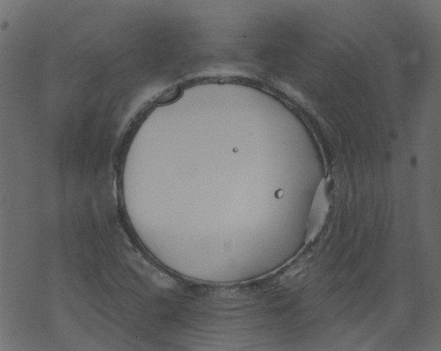 X0000073461408200608251720