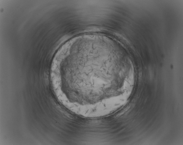 X0000073461409200608251720