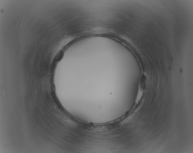 X0000073461410200608251720