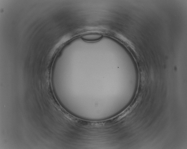 X0000073461411200608251720