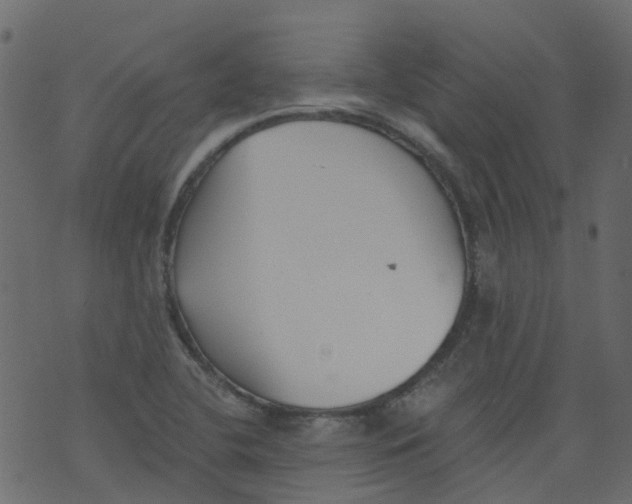 X0000073461412200608251720