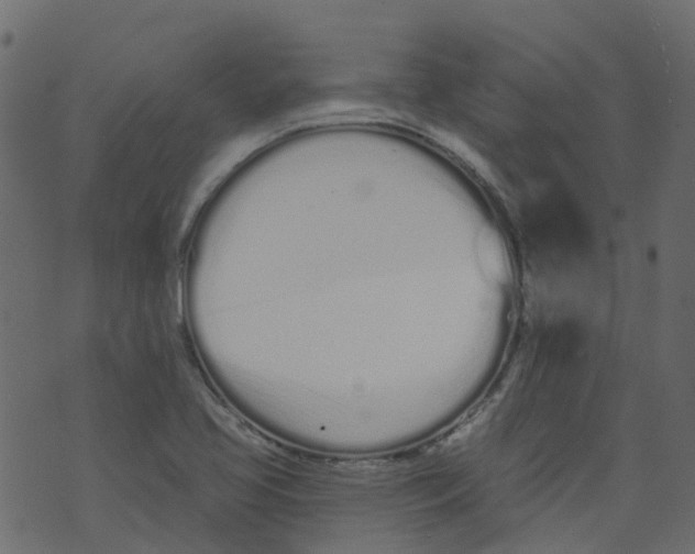 X0000073461413200608251720