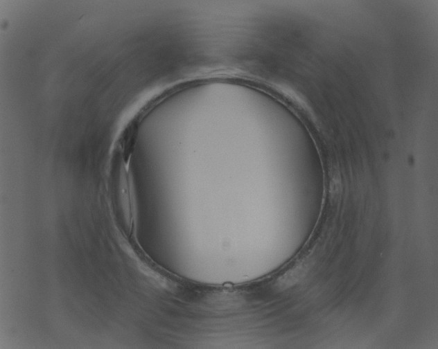 X0000073461414200608251720