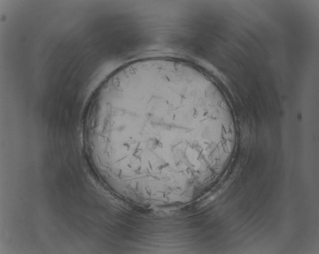 X0000073461415200608251720