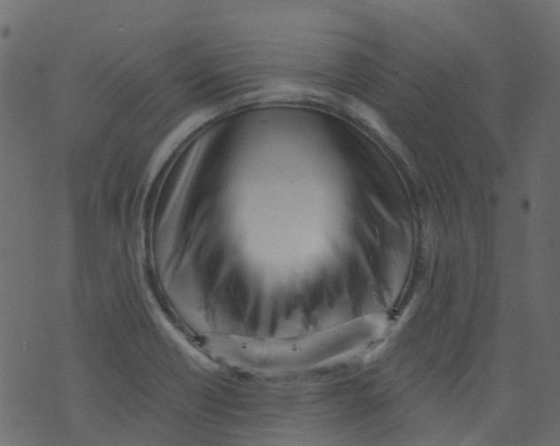 X0000073461418200608251720