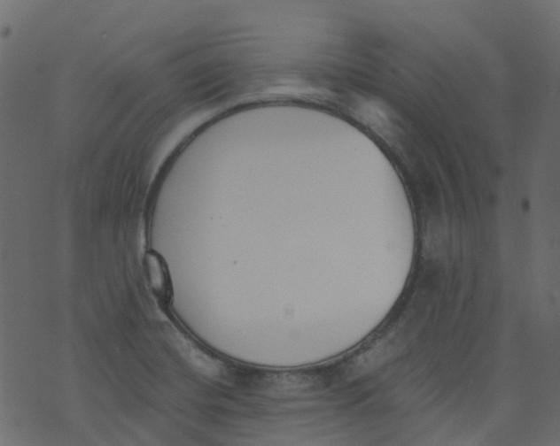 X0000073461420200608251720