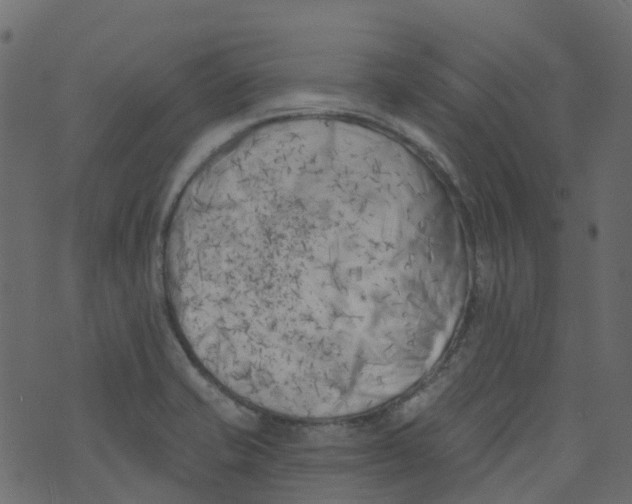 X0000073461421200608251720