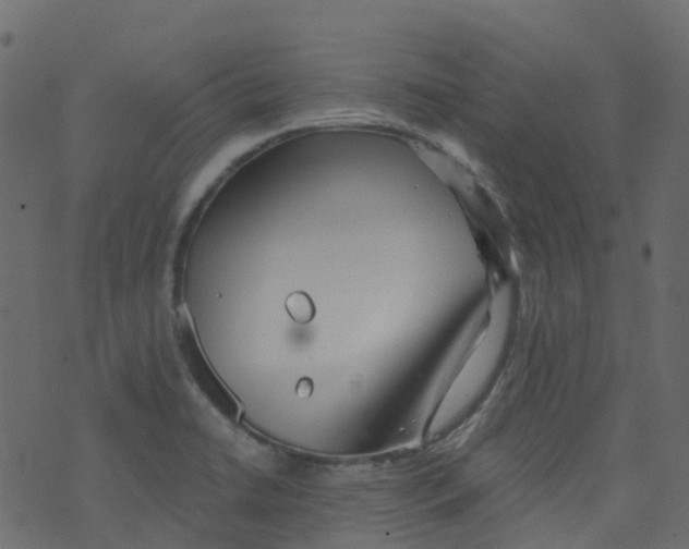 X0000073461422200608251720