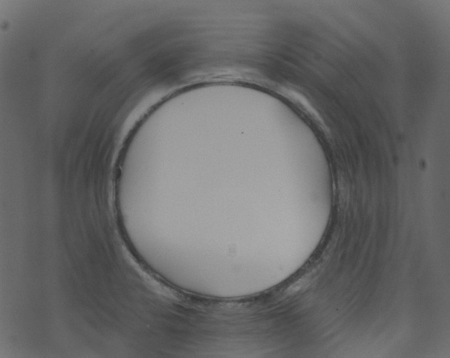 X0000073461424200608251720