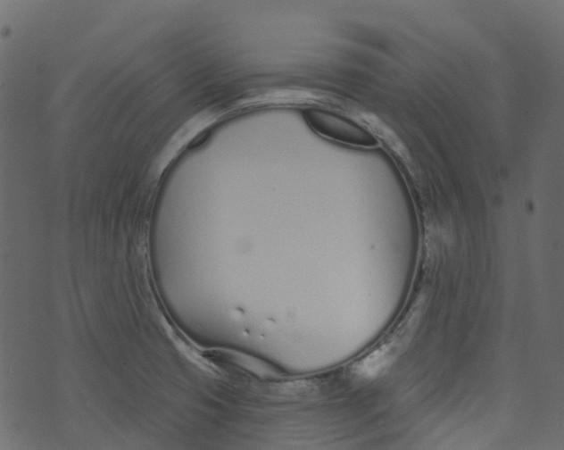 X0000073461425200608251720