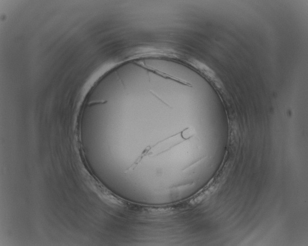 X0000073461427200608251720