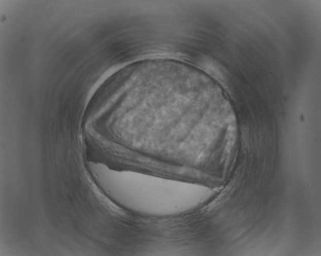 X0000073461428200608251720