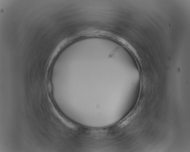 X0000073461429200608251720