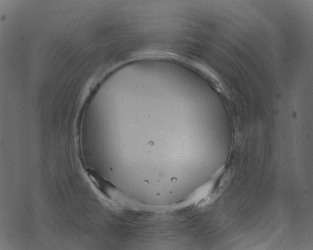 X0000073461430200608251720