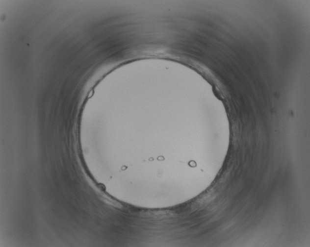 X0000073461432200608251720