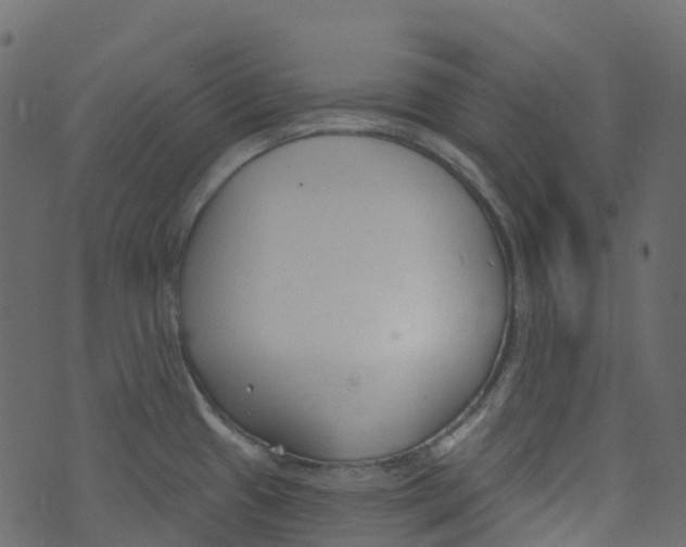 X0000073461433200608251720