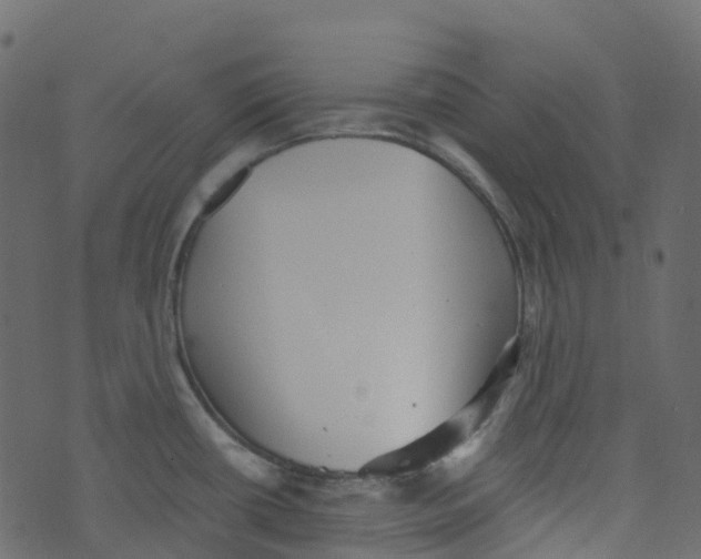 X0000073461434200608251720