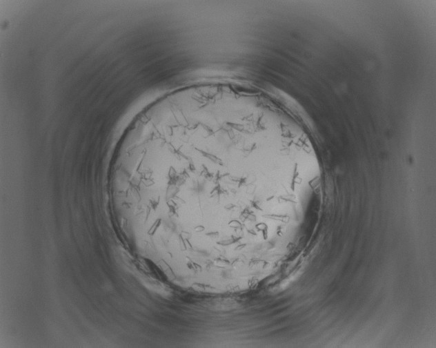 X0000073461435200608251720