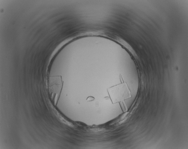 X0000073461436200608251720