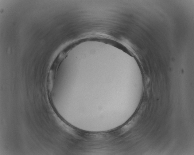 X0000073461438200608251720