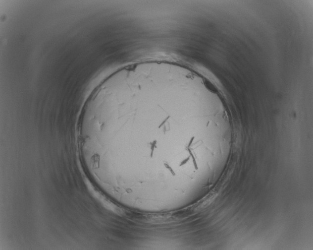 X0000073461439200608251720