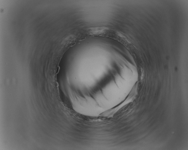 X0000073461441200608251720