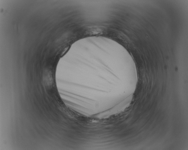 X0000073461442200608251720