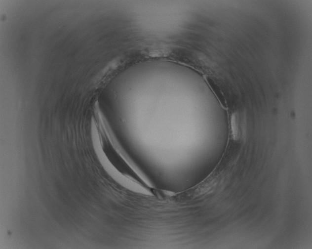 X0000073461443200608251720