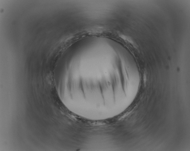 X0000073461445200608251720