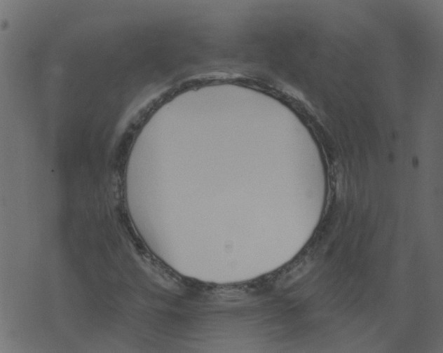 X0000073461448200608251719