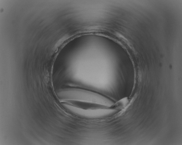 X0000073461449200608251719