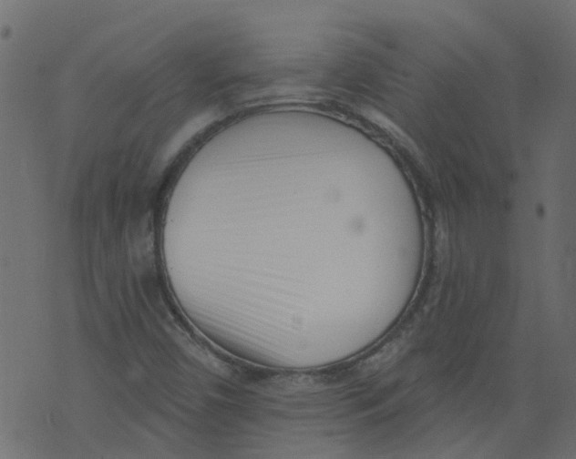 X0000073461450200608251719