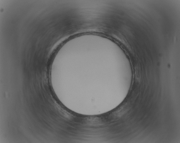 X0000073461452200608251719