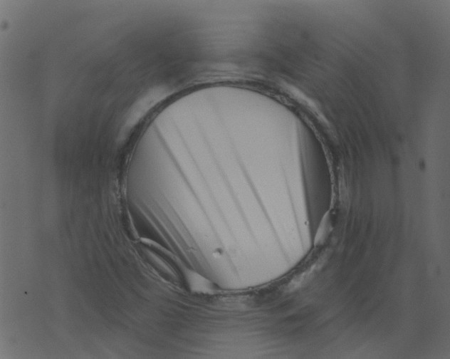 X0000073461453200608251719