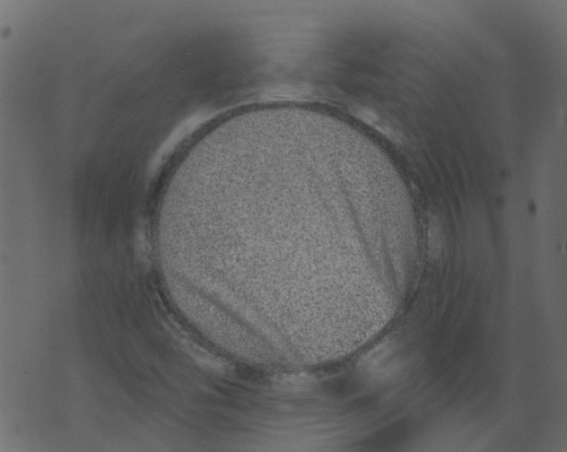 X0000073461454200608251719