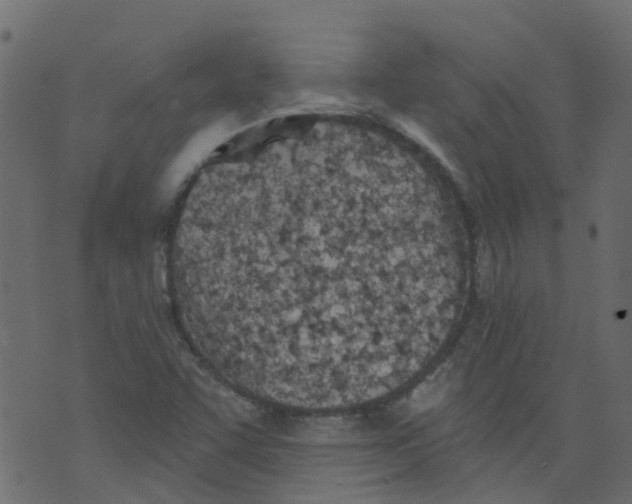 X0000073461455200608251719