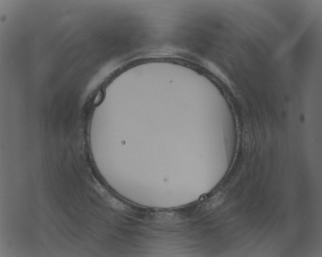 X0000073461456200608251719