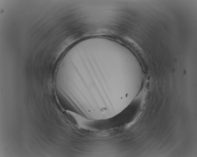 X0000073461457200608251719