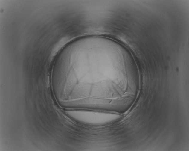 X0000073461459200608251719