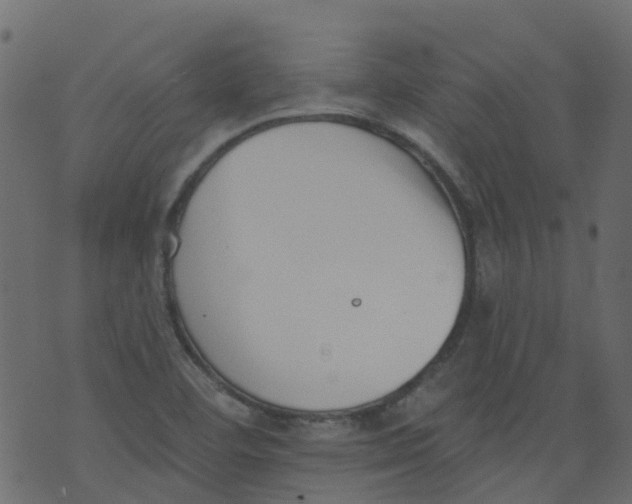 X0000073461460200608251719