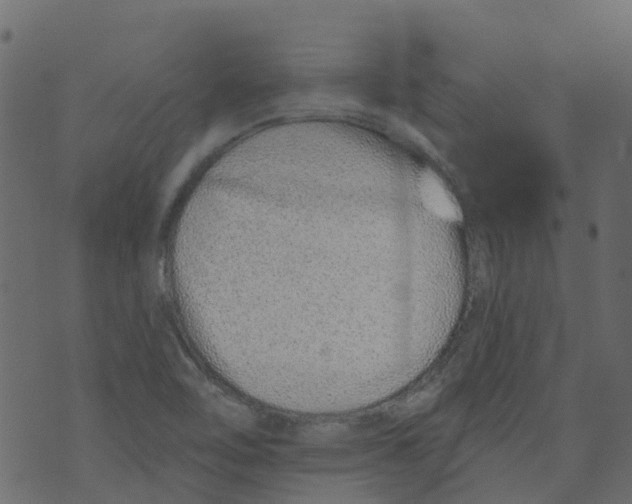 X0000073461462200608251719