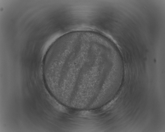 X0000073461463200608251719