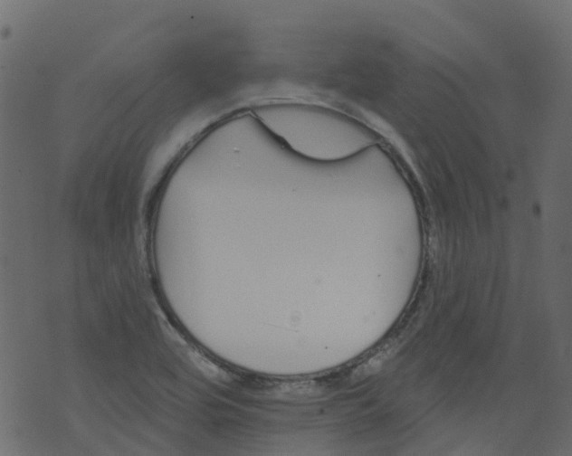 X0000073461464200608251719