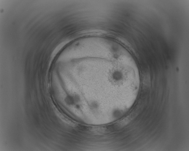 X0000073461466200608251719