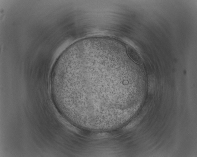 X0000073461467200608251719